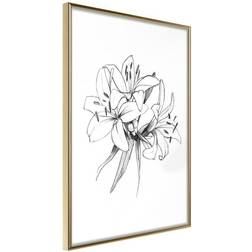 Arkiio Affisch Drawn Flowers [Poster] 30x45 Poster